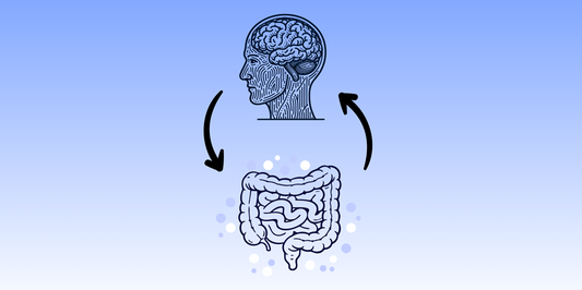 The Gut–Brain Axis and Mental Health: Why Gut Health Matters